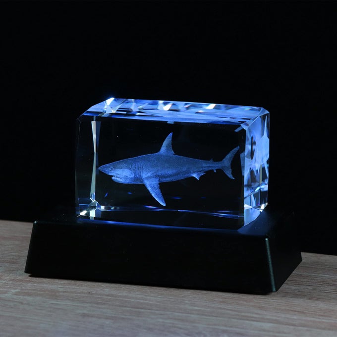 3D CRYSTALS SHARK GIFTS FOR SHARK LOVERSSHARK DECOR GLASS FIGURINE SHARK JAW STUFF BIRTHDAY FOR LOVERSKEEPSAKEPAPERWEIGHT