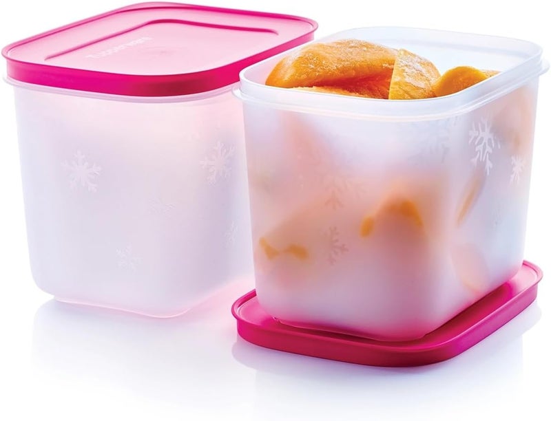 Tupperware مجموعة أدوات الفريزر الأساسية (5) - Image 1