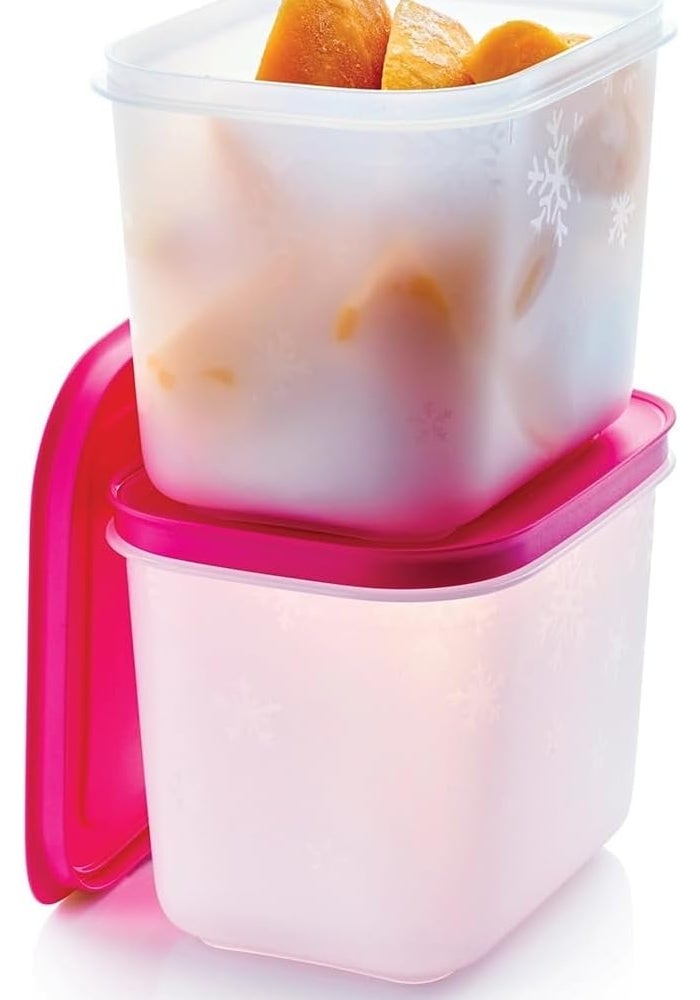 Tupperware مجموعة أدوات الفريزر الأساسية (5) - Image 2