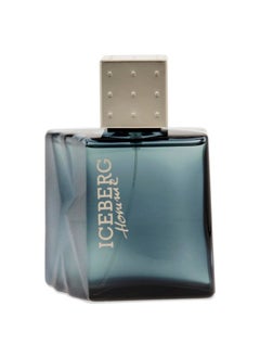 ICEBERG ICEBERG Homme - Aromatic Fougere Fragrance For The Classic Gentleman - Clean And Refreshing EDT Spray Cologne For Men - Fresh Citrus Notes Of Lavender, Lemon, Jasmine, Oakmoss, And Cedar - 3.3 Oz  - Image 2