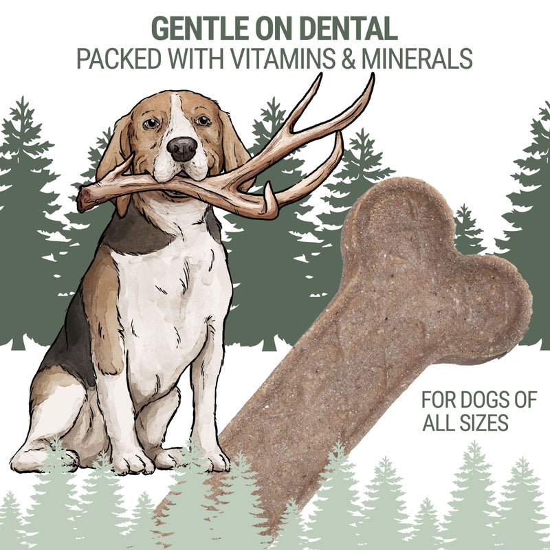 Himalayan Dog Chew Antler and Himalayan Cheese Dog Chew | Long Lasting, Stain Free, Protein Rich, Low Odor | 100% Natural, Healthy & Safe | No Lactose, Gluten Or Grains | Antler Bone | for Dogs 45 Lbs & Smaller - Image 4