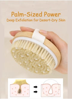 OAGA Body Brush for Wet or Dry Brushing - Gentle Exfoliating for Softer, Glowing Skin - Get Rid of Your Cellulite - Gentle Massage Nodes, Shower Brush Body Scrubber  - Image 2