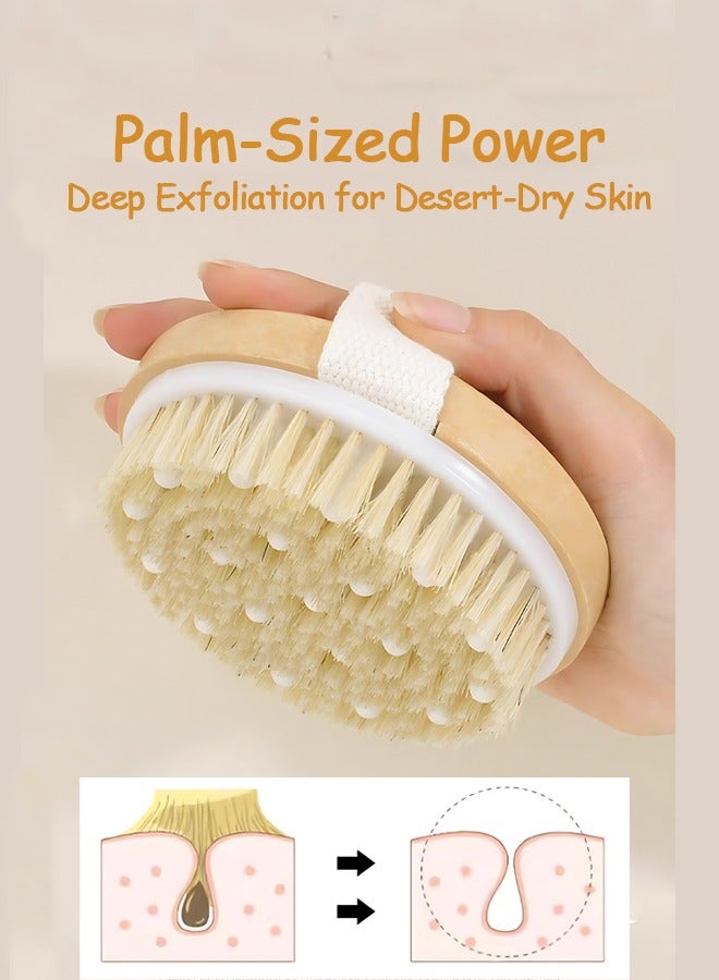 أوجا فرشاة للجسم للتنظيف الرطب او الجاف - تقشير لطيف لبشرة اكثر نعومة واشراقا - تخلص من السيلوليت، تحسن الدورة الدموية - فرشاة استحمام لتنظيف الجسم - Image 2