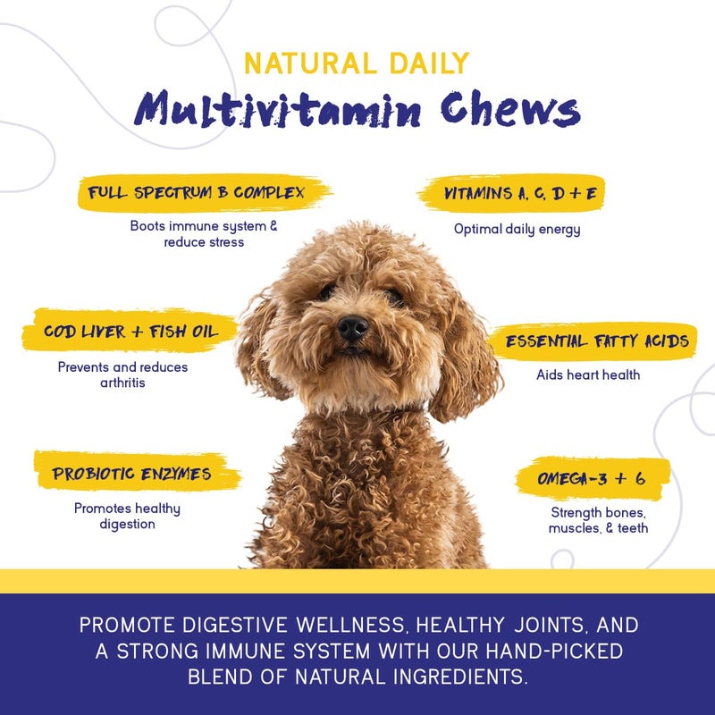 PupGrade Daily Multivitamin for Dogs - All-in-One Supplement for Digestive, Immune, Skin and Coat Health - 32 Healthy Nutrients, Probiotic Enzymes, Omega Fish Oil, Vitamins A, C, D & E - 30 Soft Chews - Image 2