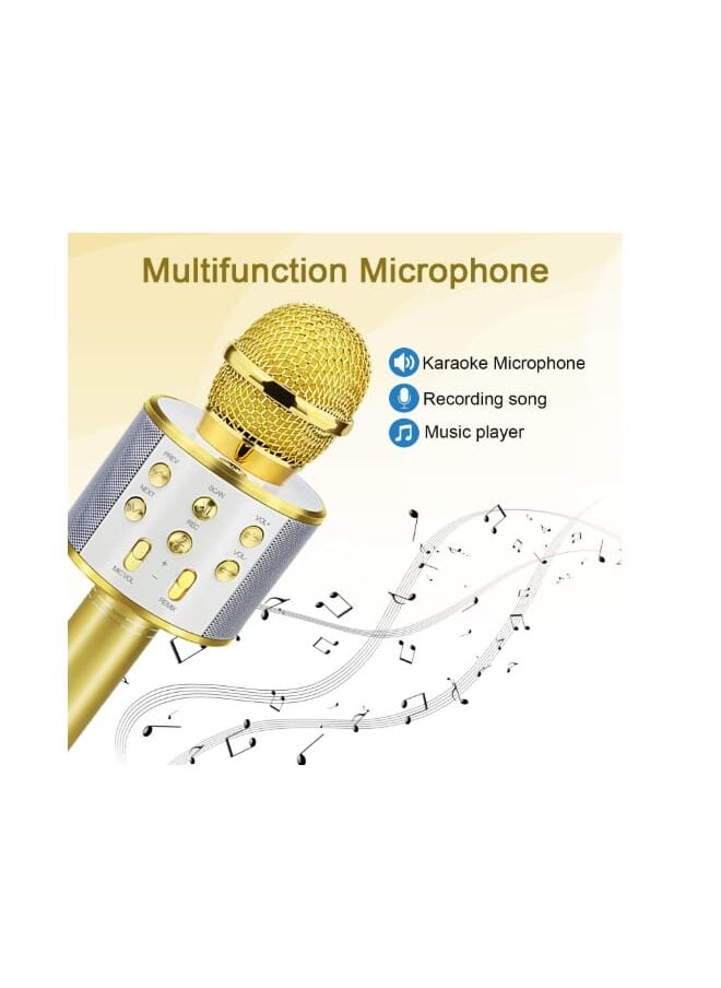 Generic - WS-858 Wireless Bluetooth Handheld Microphone Stand Karaoke Mike with Speaker Audio Recording for Cellphone (Gold) - Image 1