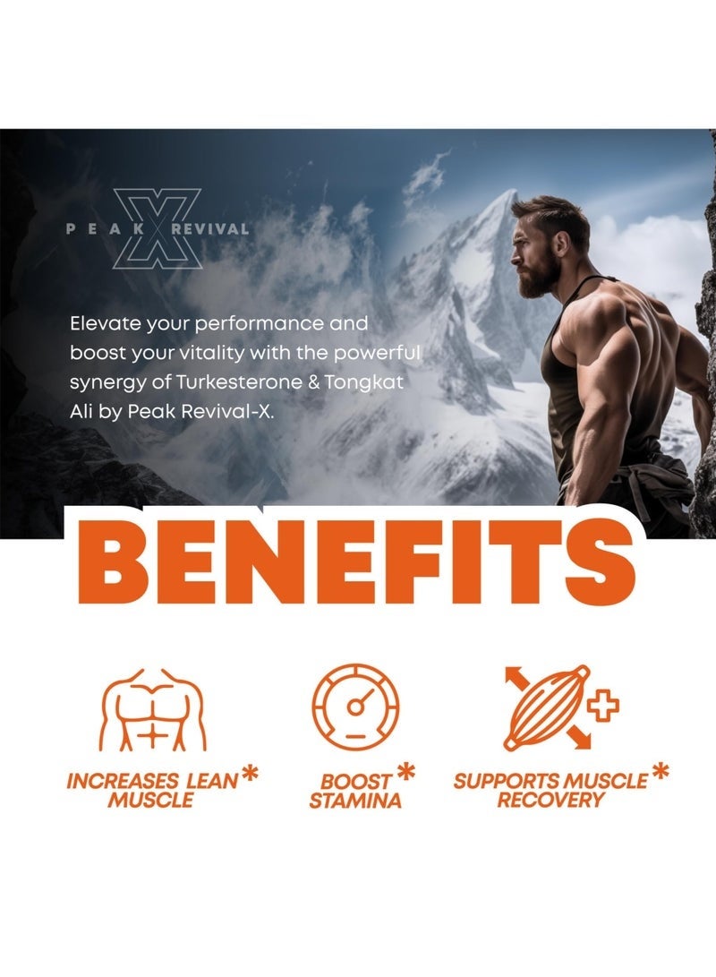 Peak Revival-X Turkesterone & Tongkat Ali 1000mg Supplement - 500mg Ajuga Turkestanica Per Serving Increase Stamina, Lean Muscle Growth & Recovery - (60 Capsules) - Image 3