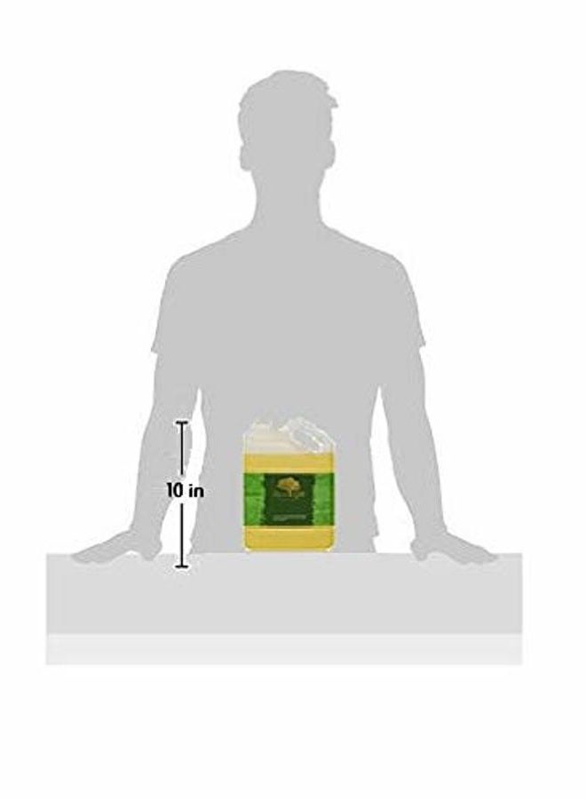 liquid gold 1 Gallon Liquid Gold Calendula Infused Oil 100% Pure & Organic for Skin Hair and Health - Image 2