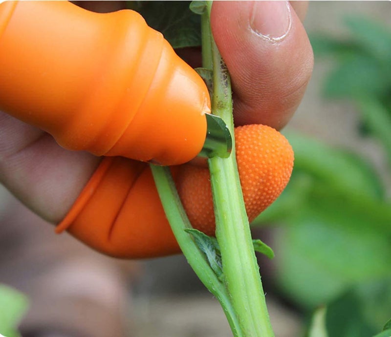 Orrda Orrda Thumb Cutter Silicone Thumb Knife Kitchen Garden Finger Cutter Tool for Cutting Vegetables PlantFruit Fruit Vegetable Picker Thumb Knife Set Multicolor  - Image 5