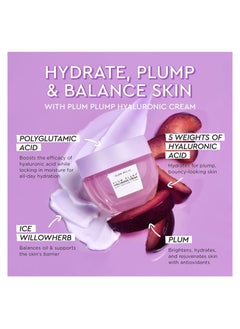 Plum Plump Hyaluronic Acid Moisturizer - 50ml - pzsku/ZA1C024E45506430C3AA2Z/45/_/1690003843/8a904aa7-5723-4c82-9904-b8207f251294