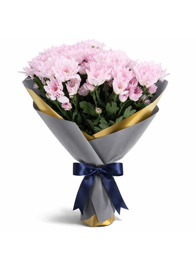 Chrysanthemum , Pink - 08 stems, Netherlands