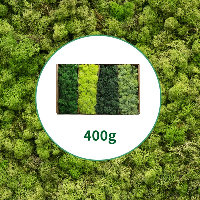 TurelinnG Preserved Moss 4 Color Reindeer Craft Moss, Total 14 OZ Each Color 3.5 OZ, Fake Moss Suitable for Flowerbeds, Crafts, Home Office Artistic Decoration (4 Colors) - Image 2