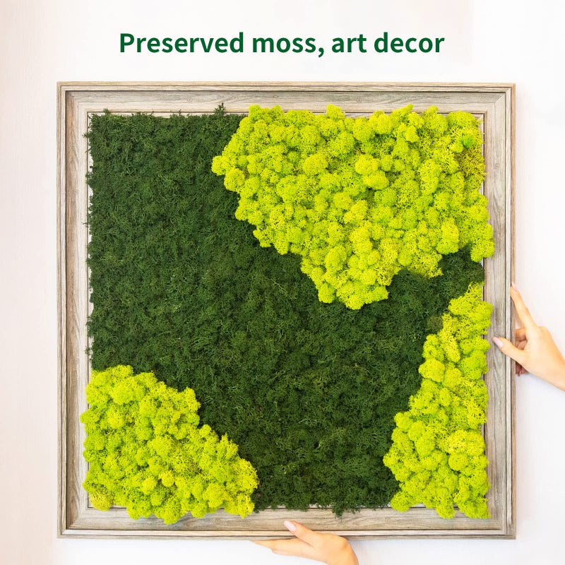TurelinnG Preserved Moss 4 Color Reindeer Craft Moss, Total 14 OZ Each Color 3.5 OZ, Fake Moss Suitable for Flowerbeds, Crafts, Home Office Artistic Decoration (4 Colors) - Image 4