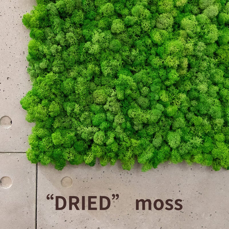 TurelinnG Preserved Moss 4 Color Reindeer Craft Moss, Total 14 OZ Each Color 3.5 OZ, Fake Moss Suitable for Flowerbeds, Crafts, Home Office Artistic Decoration (4 Colors) - Image 5
