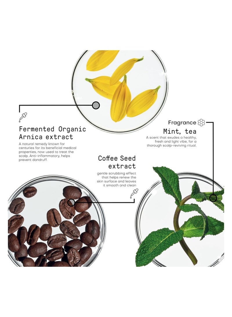 framesi MORPHOSIS - SCALP CLEANSING SHAMPOO 1000 ML - Image 4