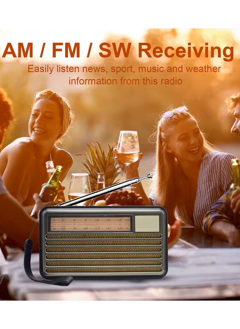 Denx Hi-Fi Radio, FM/AM/SW ,USB/TF/BT Player, Rechargeable Battery  - Image 3