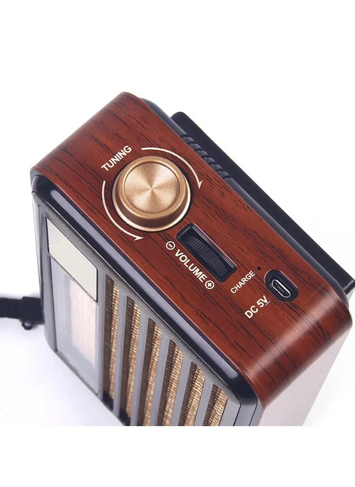 Denx Hi-Fi Radio, FM/AM/SW ,USB/TF/BT Player, Rechargeable Battery  - Image 5