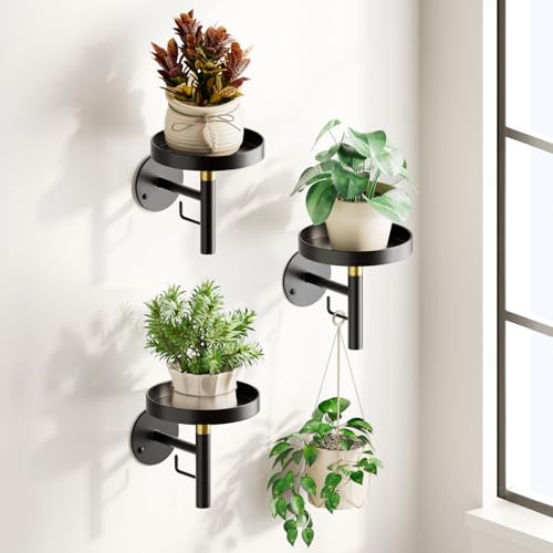 DELLAN Wall Plant Holder, 3 Pack Metal Wall Planters Stand Hanging Shelves for Indoor Plants, Window Sill Plant Decor for Bedroom, Bathroom, Living Room, Home, Office, BlackGold - Image 1