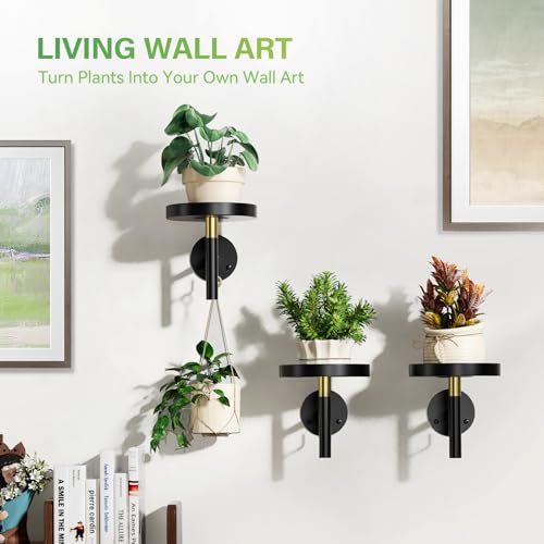 DELLAN Wall Plant Holder, 3 Pack Metal Wall Planters Stand Hanging Shelves for Indoor Plants, Window Sill Plant Decor for Bedroom, Bathroom, Living Room, Home, Office, BlackGold - Image 5