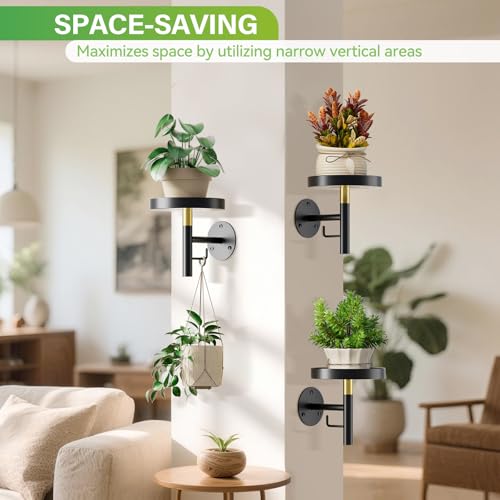 DELLAN Wall Plant Holder, 3 Pack Metal Wall Planters Stand Hanging Shelves for Indoor Plants, Window Sill Plant Decor for Bedroom, Bathroom, Living Room, Home, Office, BlackGold - Image 3
