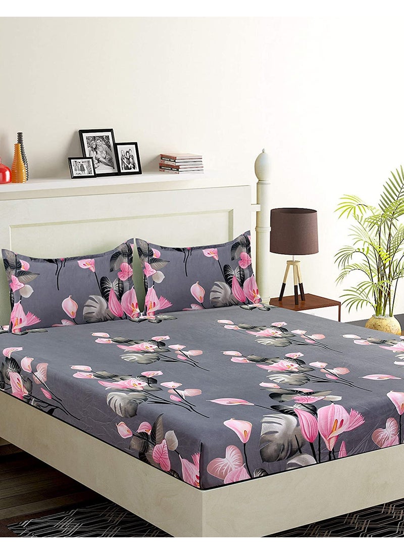 H B MSALA (DEVICE) H B MSALA Glace Cotton 220 TC Double Bed Sheet Size90 inch x 100 inch x 005 inch with 2 Pillow Cover Grey Flower 