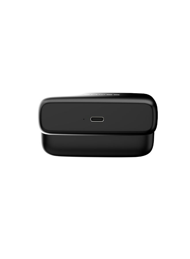 LENYES LM201 - WIRELESS RADIO MICROPHONE - Image 2