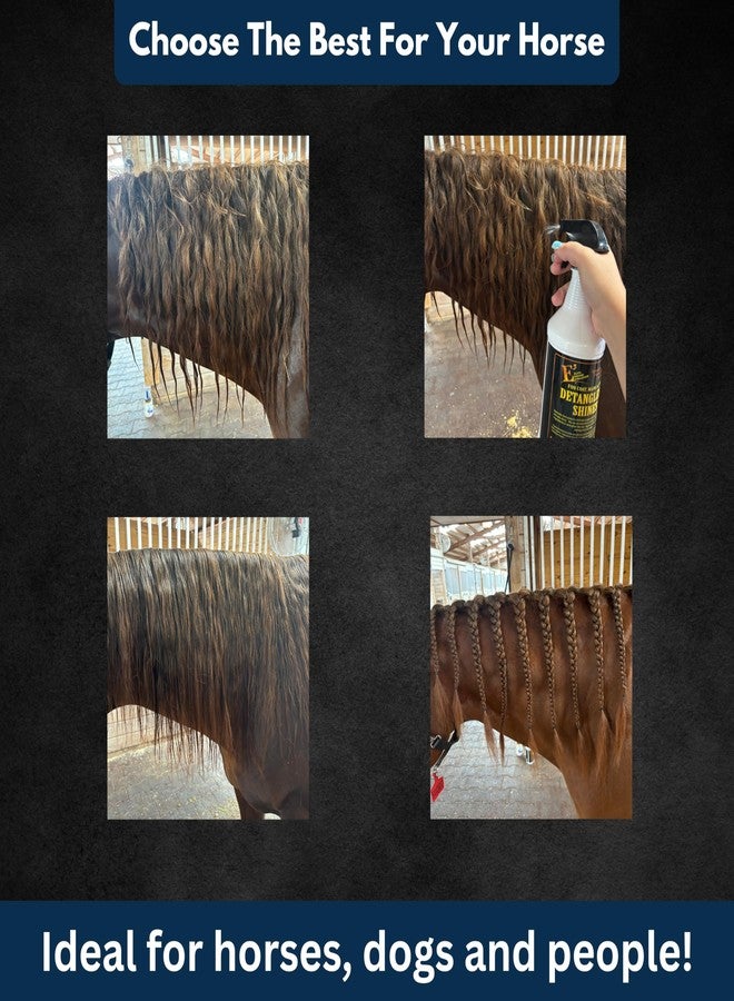 E3 فك تشابك الشعر ومنحه لمعاناً للخيول - يفك تشابك العرف والذيل على الفور، ويضيف لمعاناً رائعاً، ويرطب وينعم الشعر، غير دهني، معتمد من قبل الأطباء البيطريين (8 أونصة سائلة) - Image 5