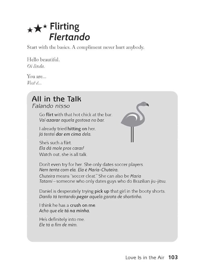 The Brazilian-Portuguese Slang Phrasebook: The Ultimate Soccer Fan's Guide to Slang, Music, F