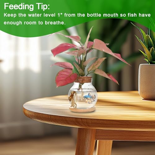 CHPINDAM Plant Propagation Station,Hydroponic Glass Container Vase Jars, with Wooden Saucer for Desks, Houses, Garden Decorations, Home Kitchen Decorations and Gifts for Plant Lovers (2) - Image 5