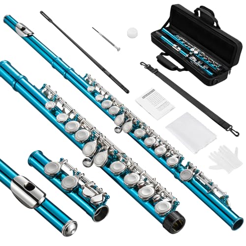 POGOLAB Flutes Closed Hole C 16 Keys Flute Instrument Student Flute for Beginner School Orchestra Band with Cleaning Kit Carry Bag Strap Probe Rod Gloves Sky Blue