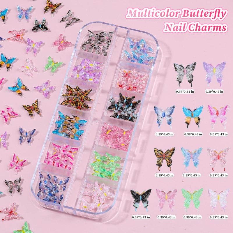 editTime 6 Boxes Flower Nail Art Charms, Cute Colorful Flower Nail Charms Hibiscus Ice Translucent Butterfly Petals Nail Gems with Pickup Tools for Nail Art Manicure DIY - Image 3