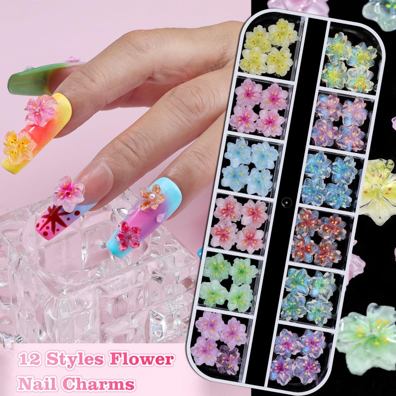 editTime 6 Boxes Flower Nail Art Charms, Cute Colorful Flower Nail Charms Hibiscus Ice Translucent Butterfly Petals Nail Gems with Pickup Tools for Nail Art Manicure DIY - Image 4