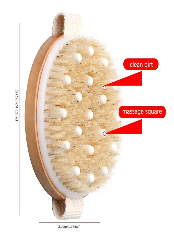 Vesaneae Bath Body Brush, Natural Bristle Body Brush, Exfoliating Brush, Massage Brush, Round Exfoliating Body Scrubber with Soft Massage Nodules - Image 2