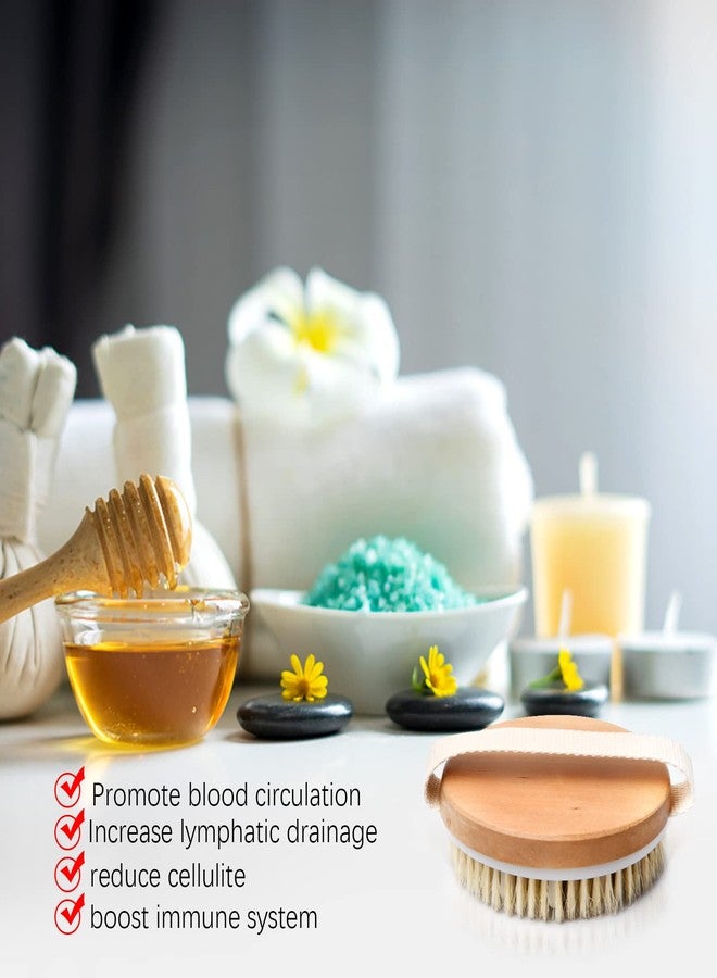 Vesaneae Bath Body Brush, Natural Bristle Body Brush, Exfoliating Brush, Massage Brush, Round Exfoliating Body Scrubber with Soft Massage Nodules - Image 4