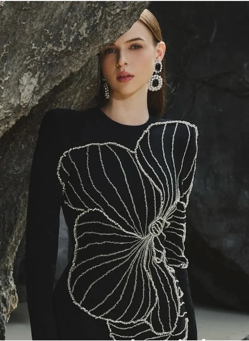 Madam Uniq New Elegant Long Sleeve Embroidered Evening Dress with Beaded and Rhinestone Details