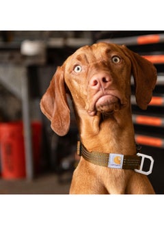 carhartt Carhartt Fully Adjustable Nylon Webbing Collars for Dogs, Reflective Stitching for Visibility, Carhartt Brown (Nylon Webbing), Medium  - Image 4