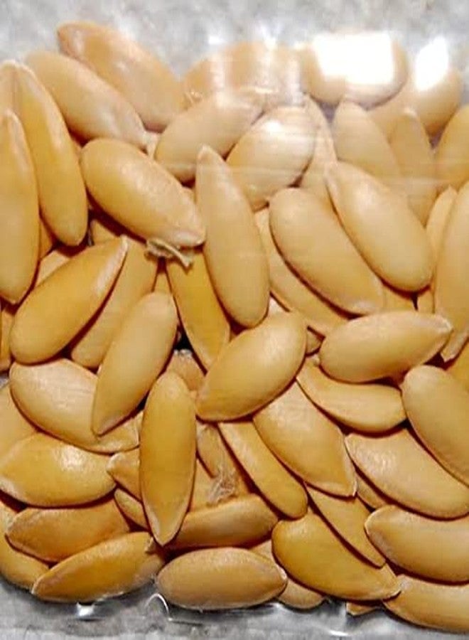 EVRR Organic Muskmelon Seeds | Kharbooj Magaz | Kharbhuja Beej | Dry Fruit Pantry | 150 gm - Image 2