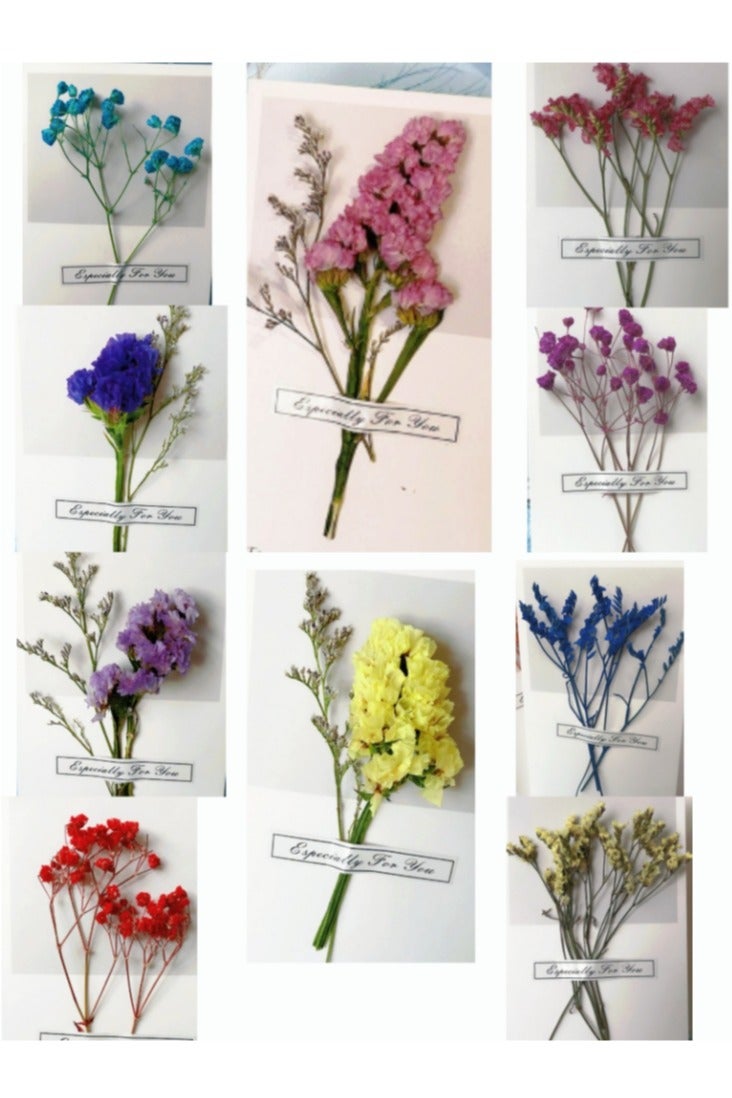 10 Packs Dried Flowers Greeting Card Gift Card, DIY Invitation Wish Card Note Card Thank You Card For Birthday Wedding Card - Image 1