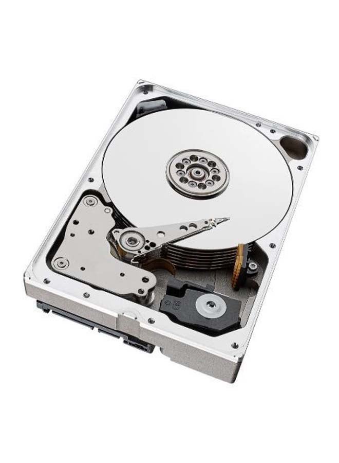 سيجيت محرك أقراص صلبة خارجي آيرونوولف 10 TB - Image 2