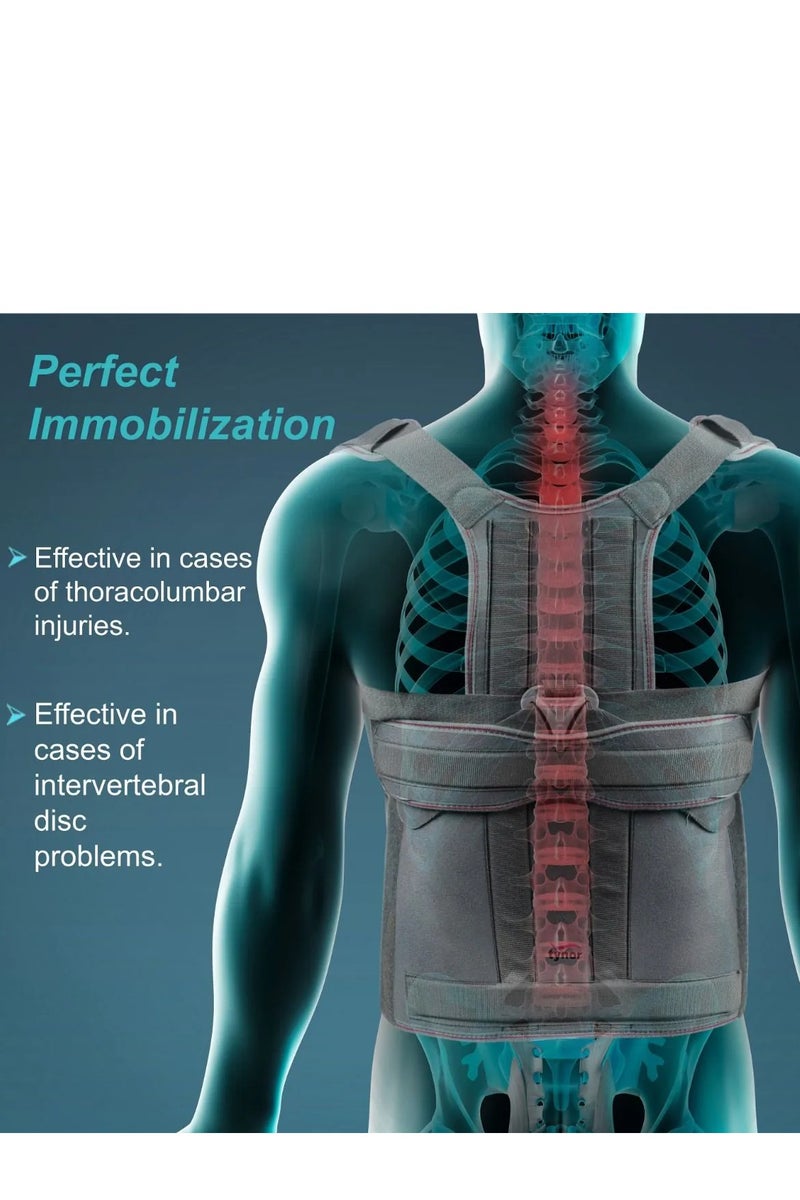 Tynor Taylor’s Brace Long Special A 13 - Image 2