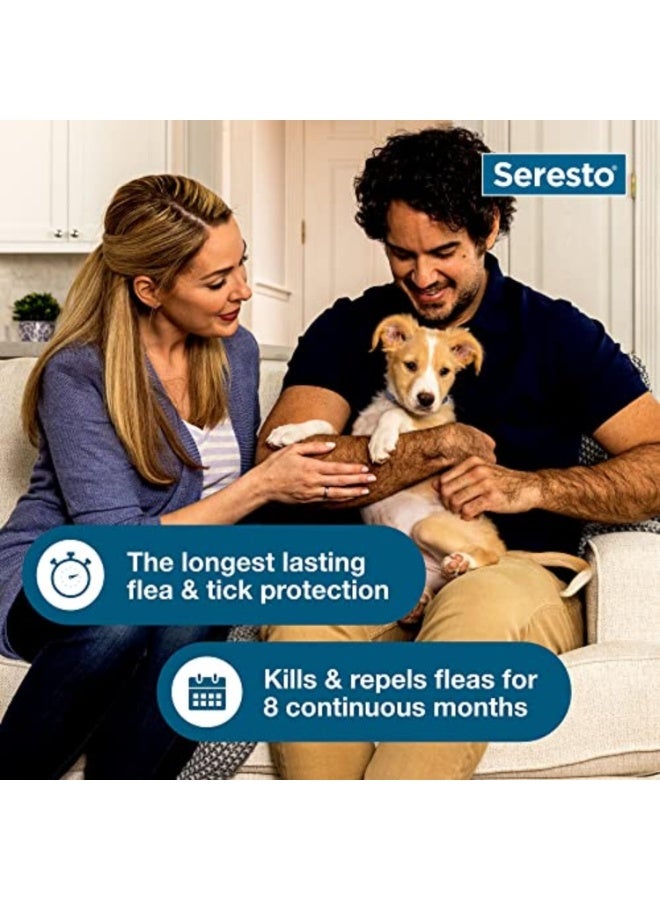 سيريستو طوق سيرستو لعلاج ومنع البراغيث والقراد، مُوصى به من قِبل الأطباء البيطريين، للكلاب الصغيرة التي يقل وزنها عن 18 رطلاً | عبوة واحدة - Image 4