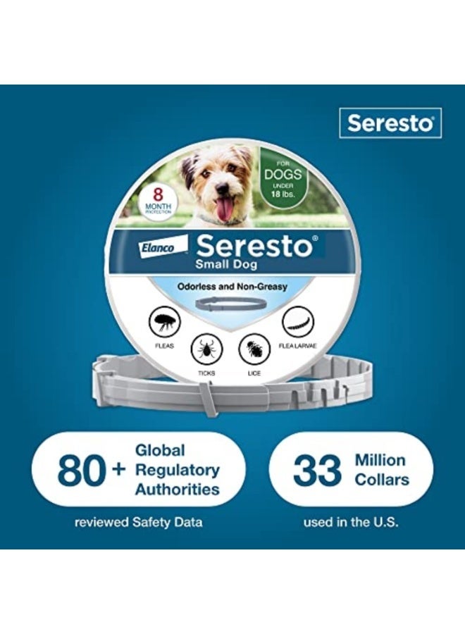 سيريستو طوق سيرستو لعلاج ومنع البراغيث والقراد، مُوصى به من قِبل الأطباء البيطريين، للكلاب الصغيرة التي يقل وزنها عن 18 رطلاً | عبوة واحدة - Image 1