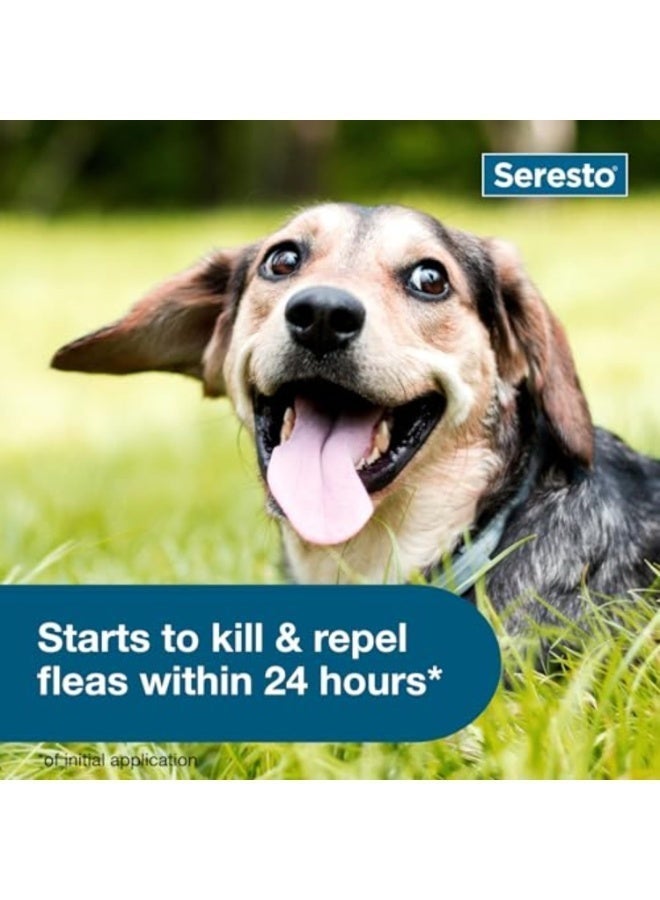 Seresto Small Dog Veterinarian Recommended Flea and Tick Treatment and Prevention Collar for Dogs Under 18 lbs. | 1 Pack - Image 3