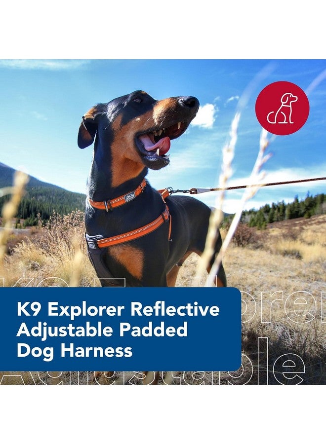 كوستال حزام كلب مبطن قابل للتعديل عاكس من Coastal Pet K9 Explorer - وسادة صدر مخملية للراحة - حزام كلب لا يسحب للكلاب الصغيرة والكبيرة - لون روزبد - 5/8 بوصة × 16 بوصة - صغير - Image 2