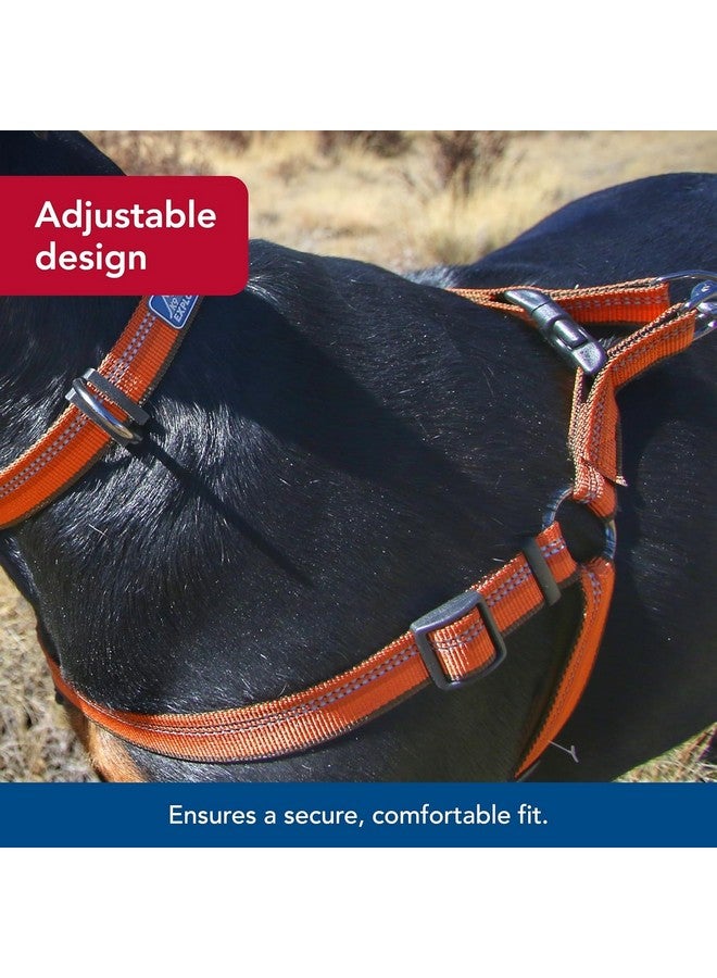 كوستال حزام كلب مبطن قابل للتعديل عاكس من Coastal Pet K9 Explorer - وسادة صدر مخملية للراحة - حزام كلب لا يسحب للكلاب الصغيرة والكبيرة - لون روزبد - 5/8 بوصة × 16 بوصة - صغير - Image 4