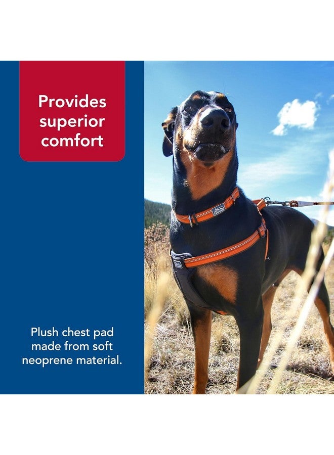 كوستال حزام كلب مبطن قابل للتعديل عاكس من Coastal Pet K9 Explorer - وسادة صدر مخملية للراحة - حزام كلب لا يسحب للكلاب الصغيرة والكبيرة - لون روزبد - 5/8 بوصة × 16 بوصة - صغير - Image 5