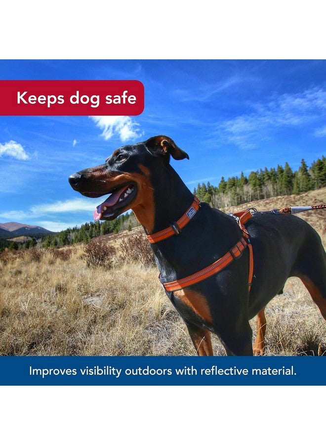 كوستال حزام كلب مبطن قابل للتعديل عاكس من Coastal Pet K9 Explorer - وسادة صدر مخملية للراحة - حزام كلب لا يسحب للكلاب الصغيرة والكبيرة - لون روزبد - 5/8 بوصة × 16 بوصة - صغير - Image 3