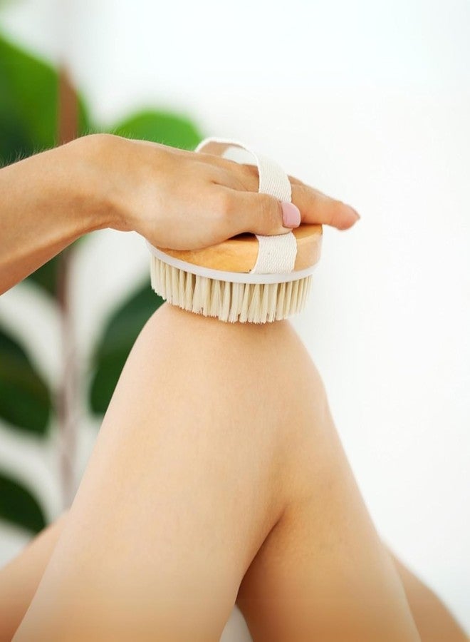 ZONALIYA Dry Skin Body Brush Improves blood_circulation Skin's Health and Beauty With Natural Bristle | Remove Dead Skin and Toxins, Cellulite Treatment, Exfoliates, Stimulates Blood Circulation - Image 4