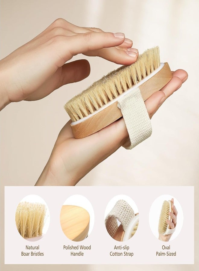 ZONALIYA Dry Skin Body Brush Improves blood_circulation Skin's Health and Beauty With Natural Bristle | Remove Dead Skin and Toxins, Cellulite Treatment, Exfoliates, Stimulates Blood Circulation - Image 5