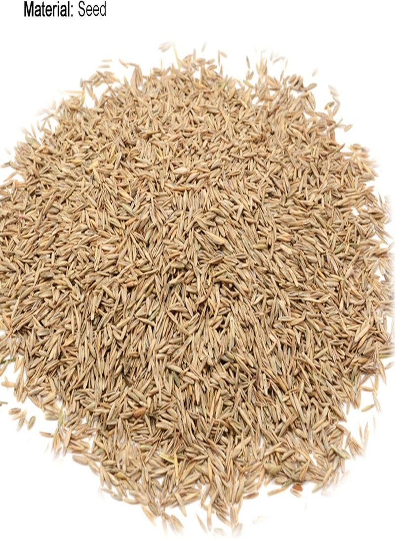 GGOOT 100Pcs Sagina Seeds Healthy Nutritious Special Moss Plant Sagina Subulata Seeds for Garden - Flower Seeds Vegetable Seeds Fruit Seeds Garden Plant Seeds for Planting - Image 5