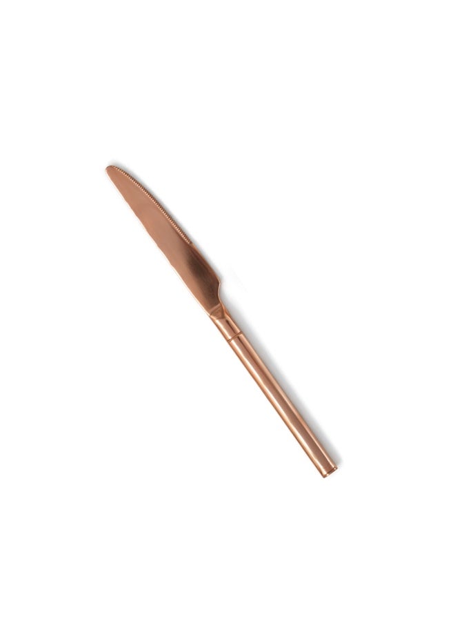 بيرام سكين طعام BERAM Copper Craft - سكين طاولة من الفولاذ المقاوم للصدأ 420 مع لمسة نهائية من النحاس PVD، أدوات مائدة وأدوات مطبخ متينة، سكين عشاء أنيق للمنزل والمطاعم والفنادق (قطعة واحدة) - Image 1